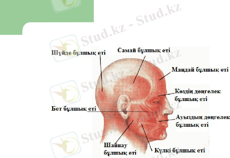 Slide 21