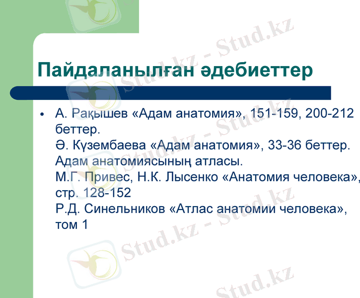 Slide 23