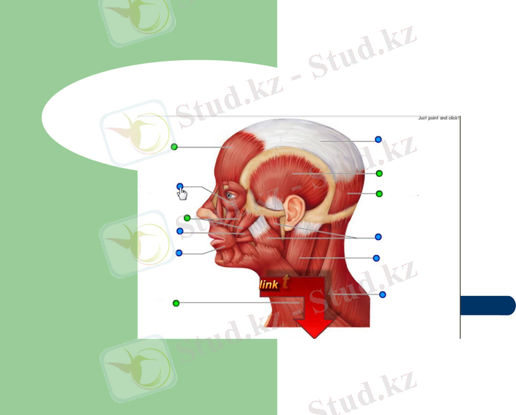 Slide 3