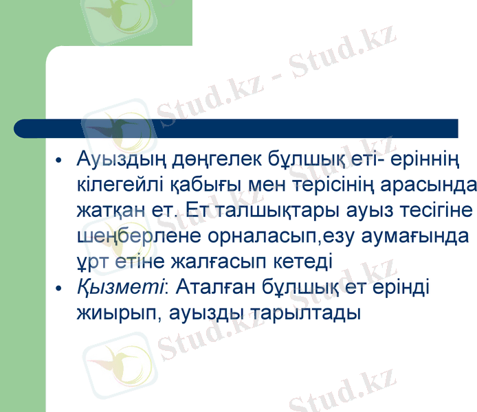 Slide 5