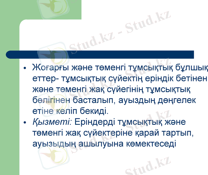 Slide 6