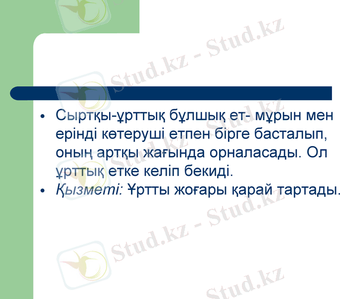 Slide 9