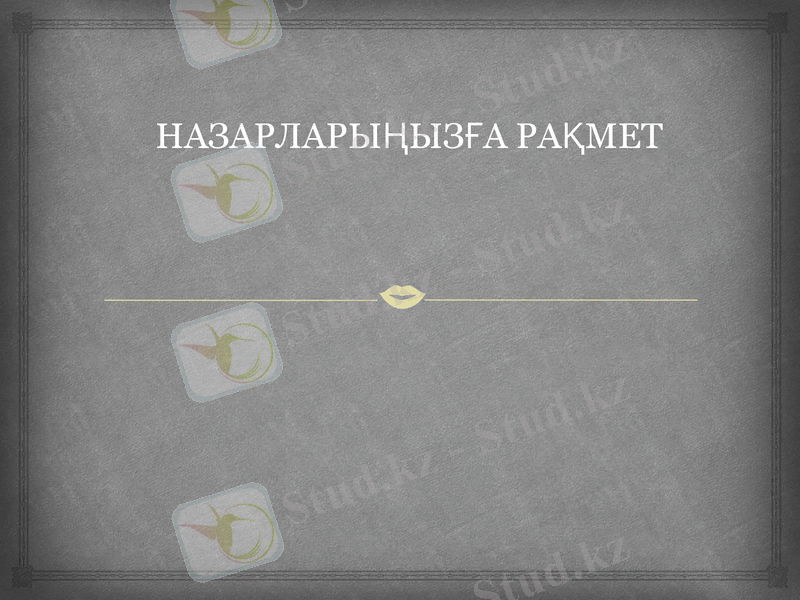 Slide 13