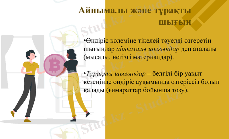 Slide 11