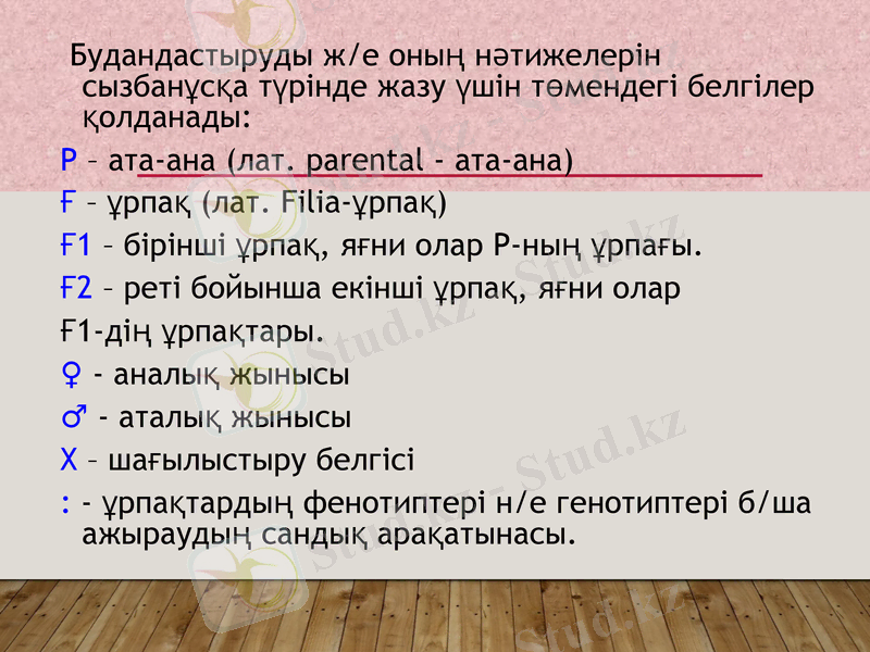 Slide 11