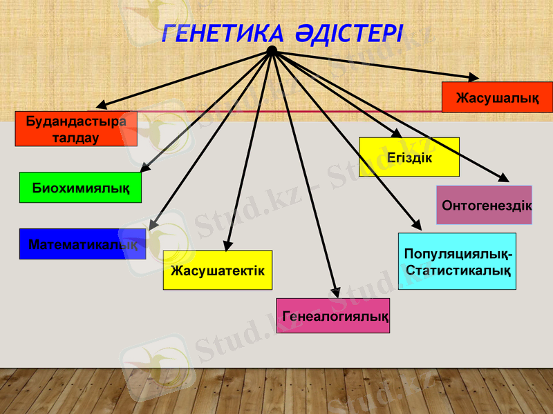 Slide 12