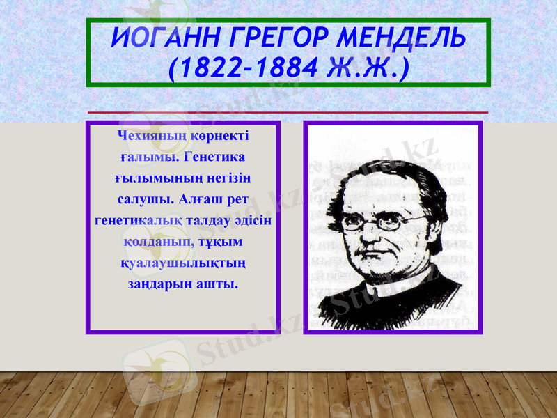 Slide 14