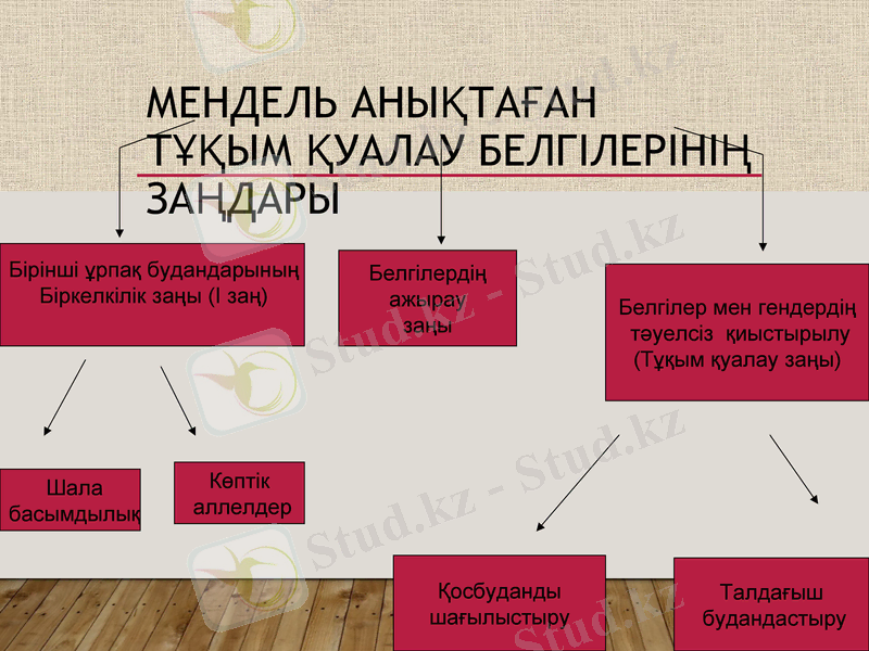 Slide 15