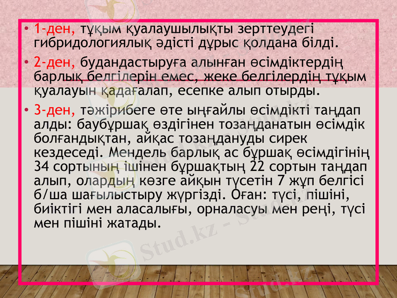 Slide 16