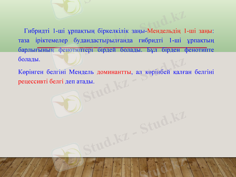 Slide 19