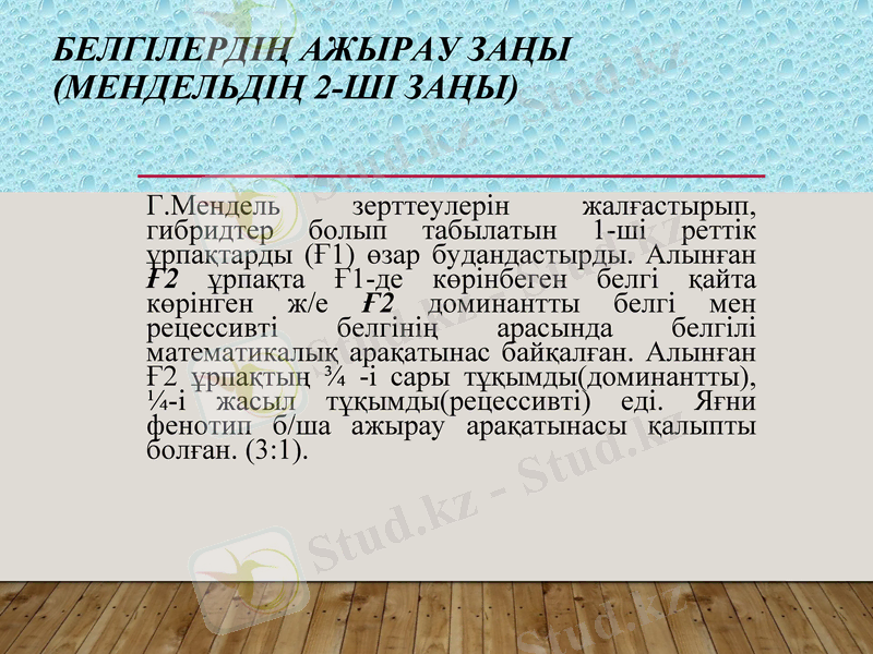 Slide 20