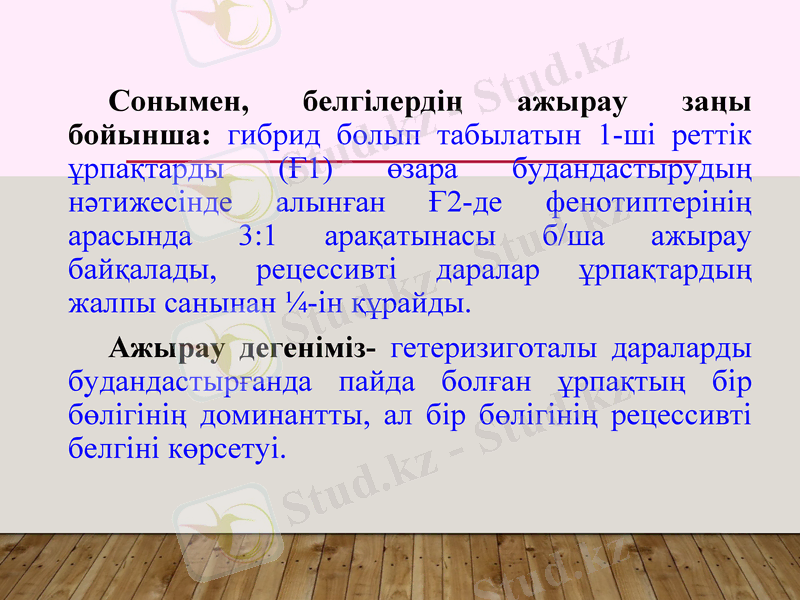 Slide 21