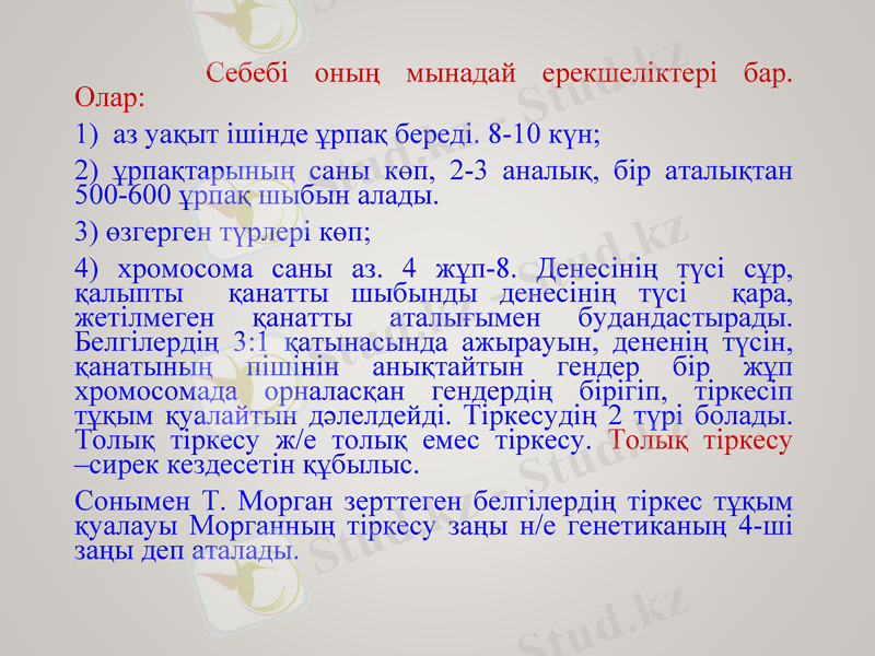 Slide 22