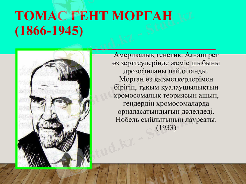 Slide 23
