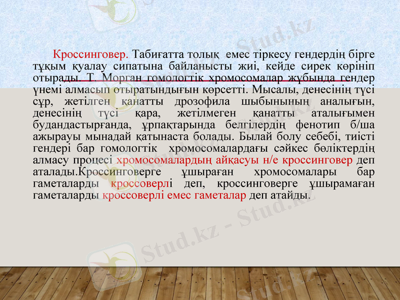 Slide 24