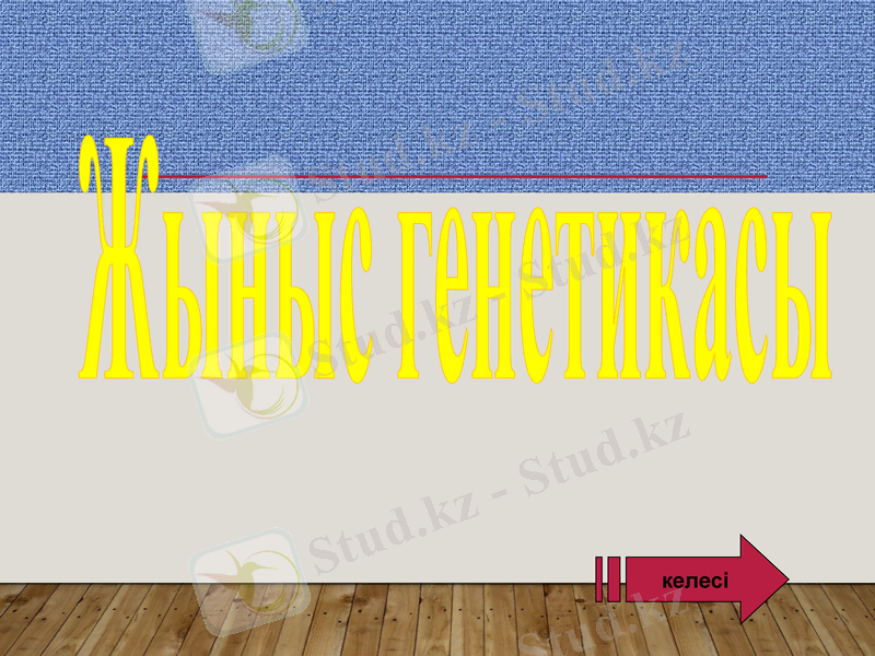 Slide 26