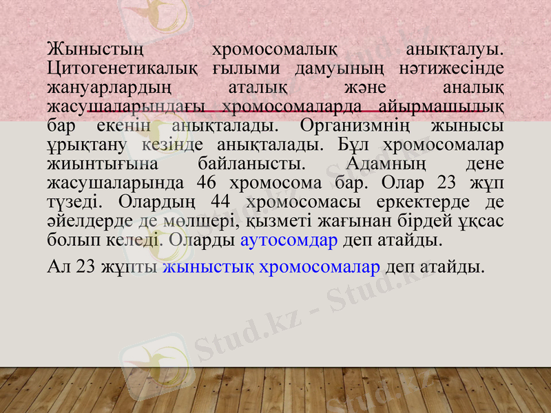 Slide 27