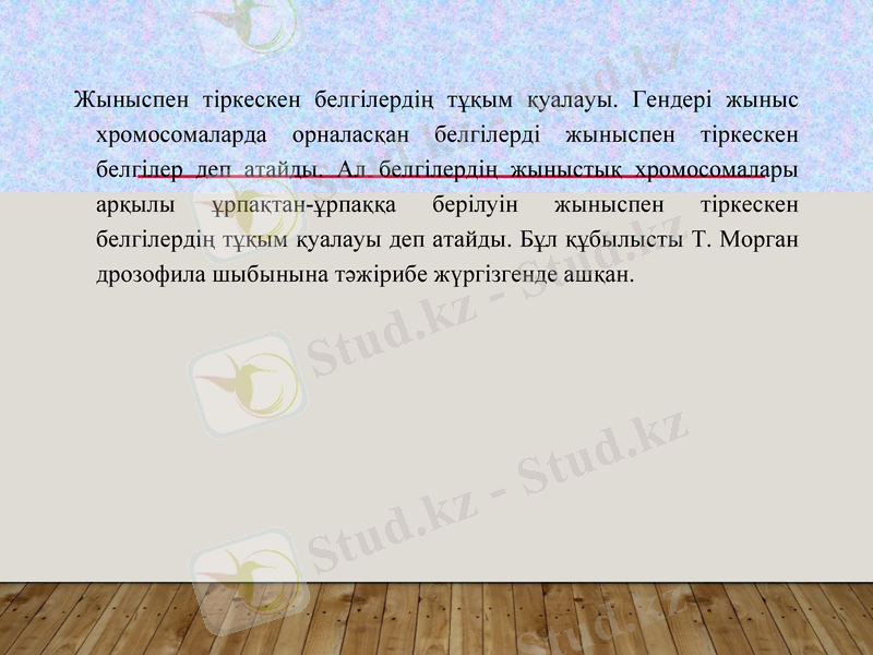 Slide 28