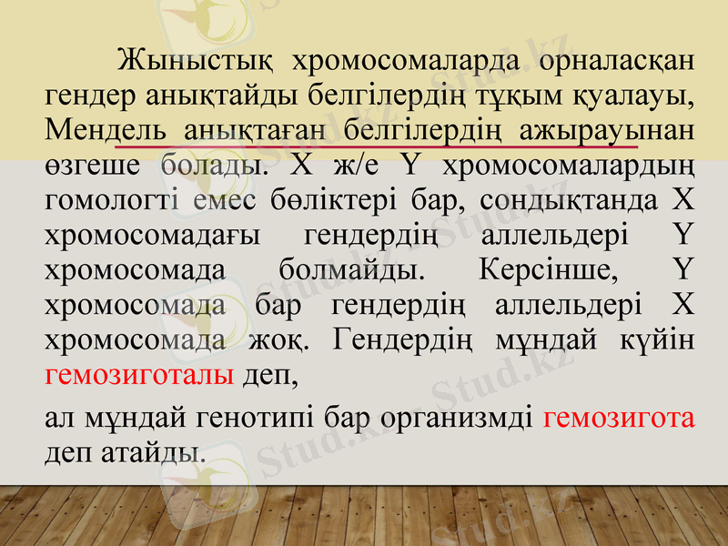 Slide 29