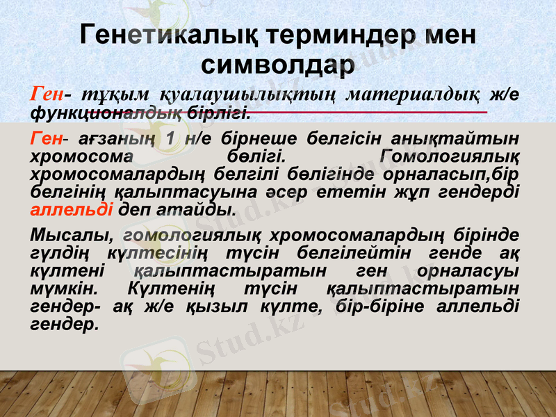 Slide 6