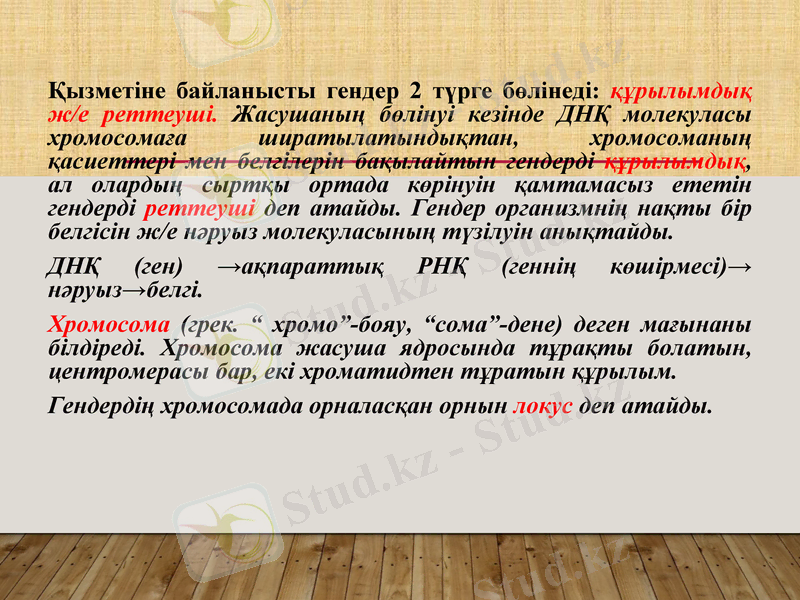Slide 7