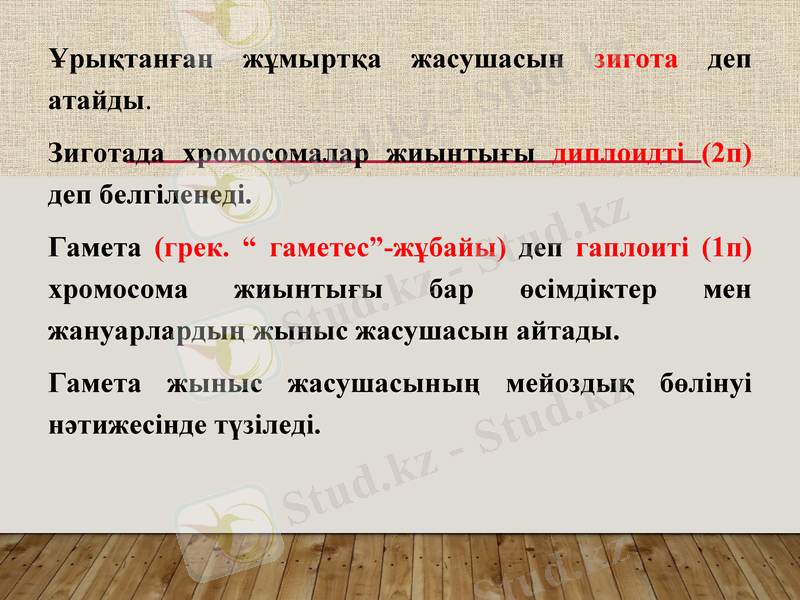 Slide 8