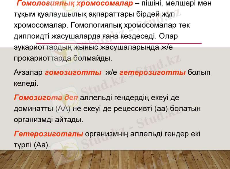 Slide 9