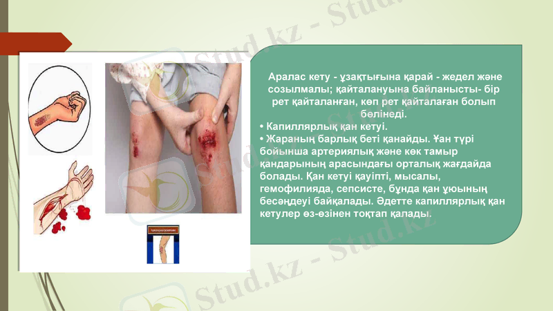 Slide 10