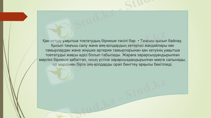 Slide 11