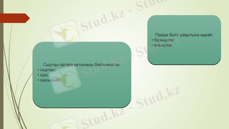 Slide 7