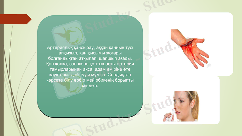 Slide 8