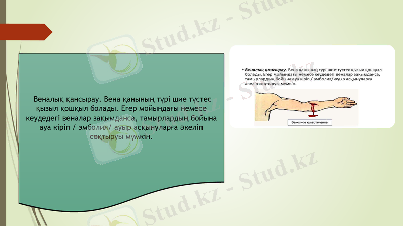 Slide 9