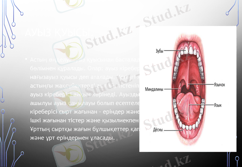 Slide 10
