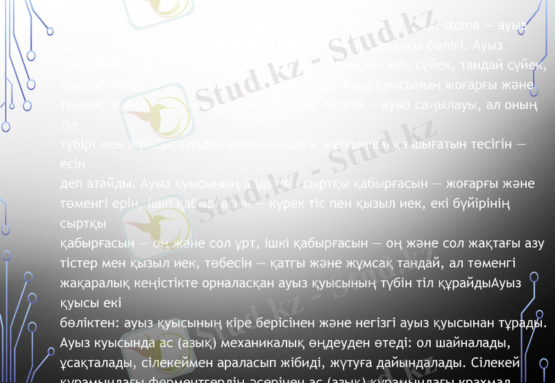 Slide 11