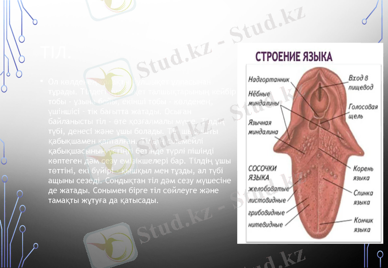 Slide 13