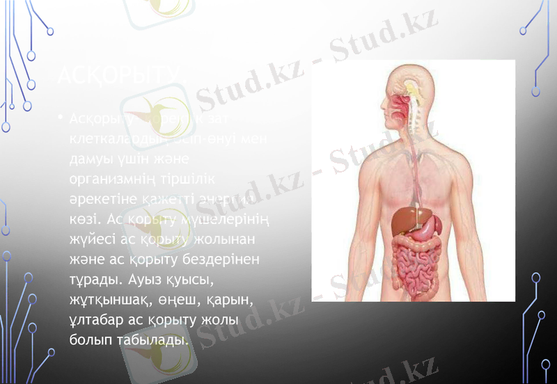 Slide 7