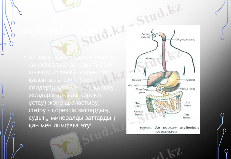 Slide 8