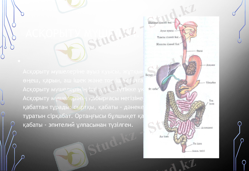 Slide 9
