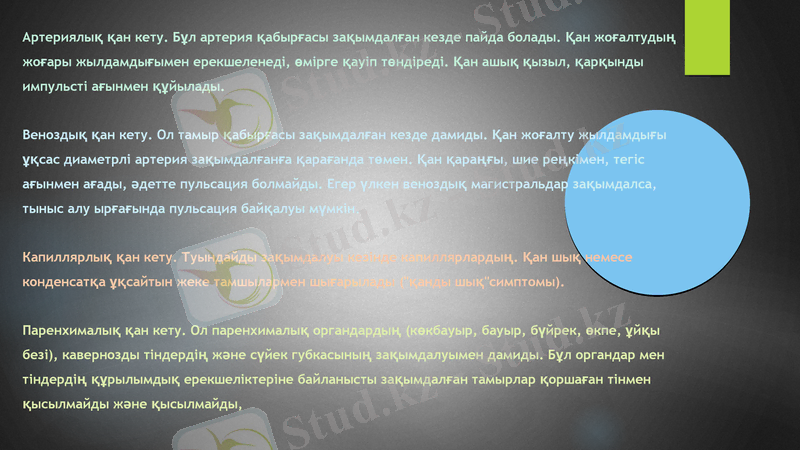 Slide 6