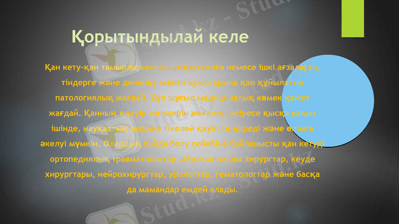 Slide 8