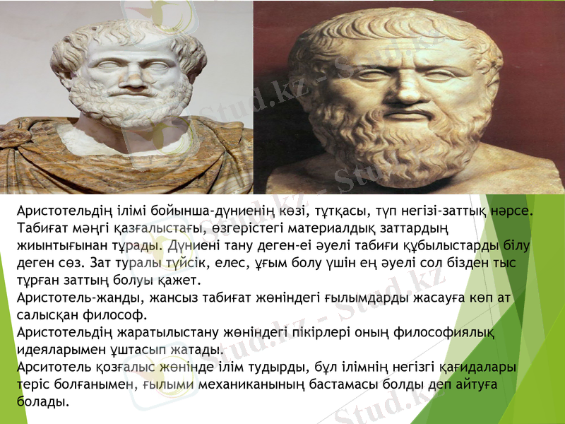 Slide 8