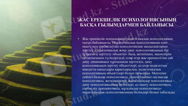 Slide 2