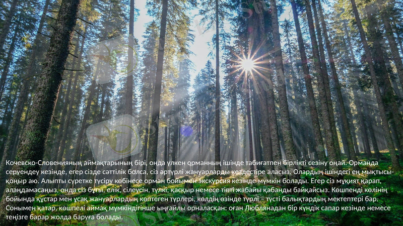 Slide 6