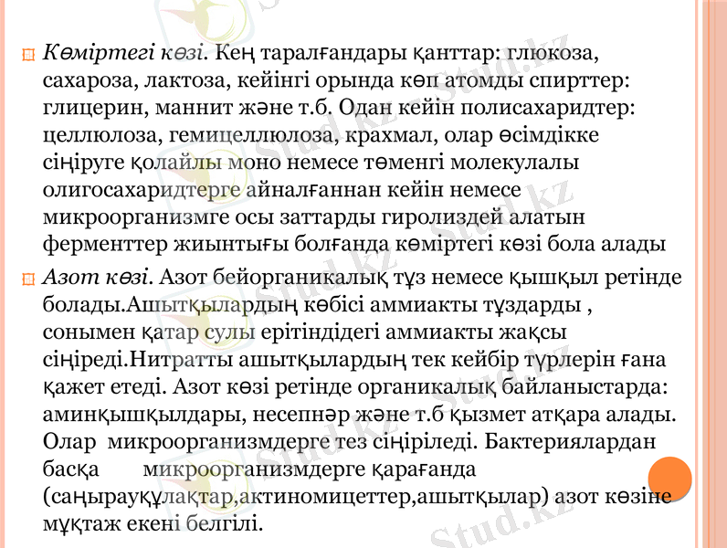 Slide 7
