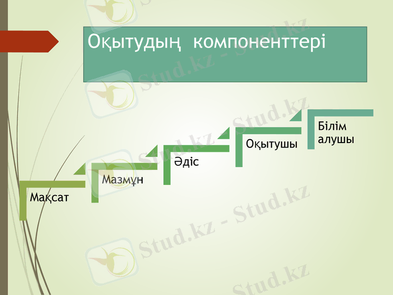 Slide 8