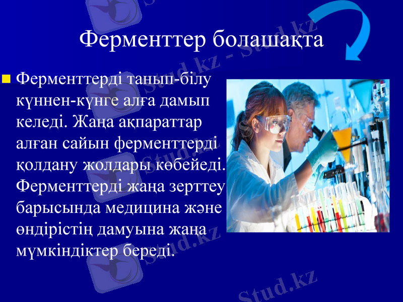 Slide 11