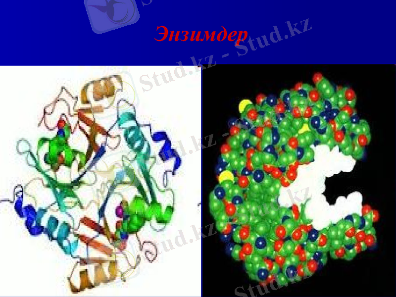 Slide 17