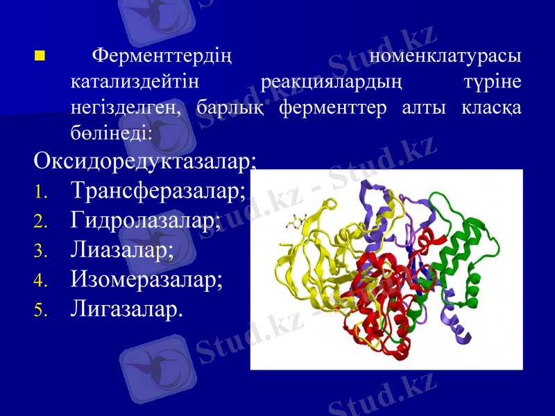 Slide 19