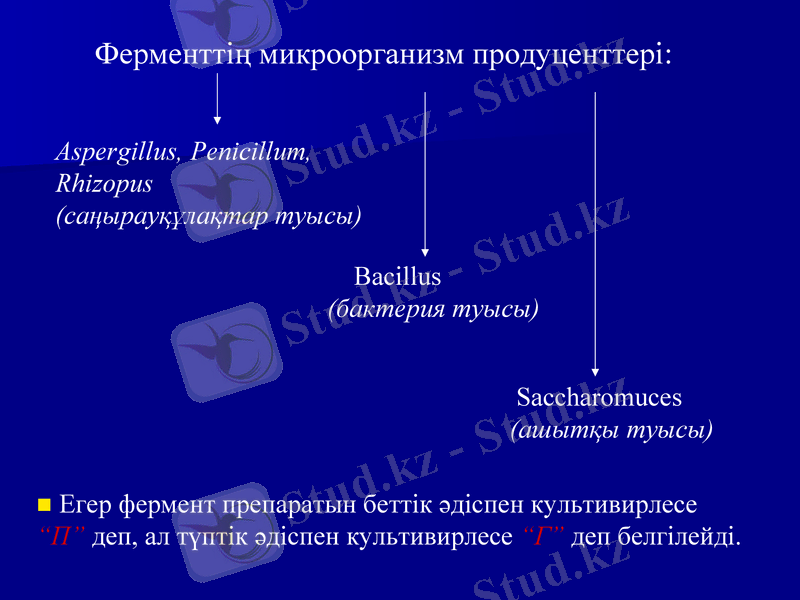 Slide 23