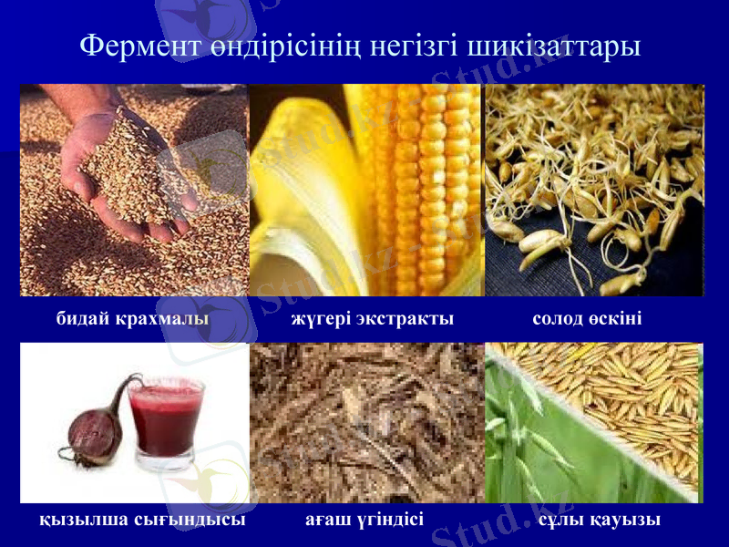 Slide 29